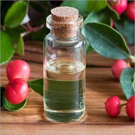 Winter Green Leaves Distillation - Leaves Oil Distillation Plants